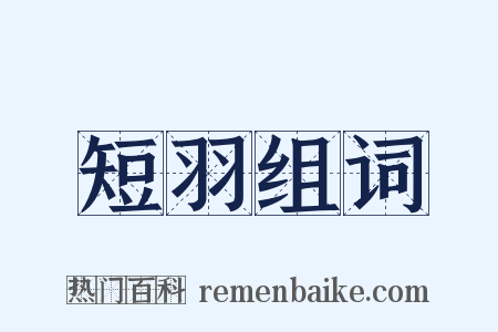 短羽组词是什么意思的图片